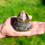 Coil Harmony - Handmade Medium Octagon Dome Orgonite v4